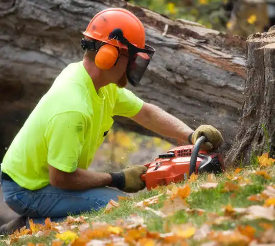 tree services Robersonville